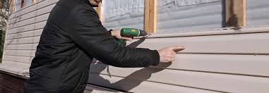 Best Vinyl Siding Installation  in Loveland, CO